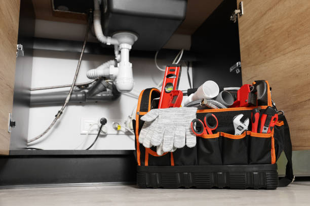 Best Plumbing Services Near Me  in Ely, MN